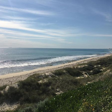 Ocean Beach Backpackers Hostel Περθ Εξωτερικό φωτογραφία
